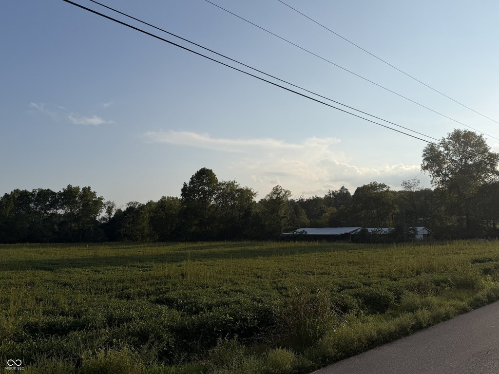 Picture 5