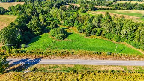 Land, Opp, AL