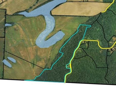 Wooded Hunting & Recreation Tract