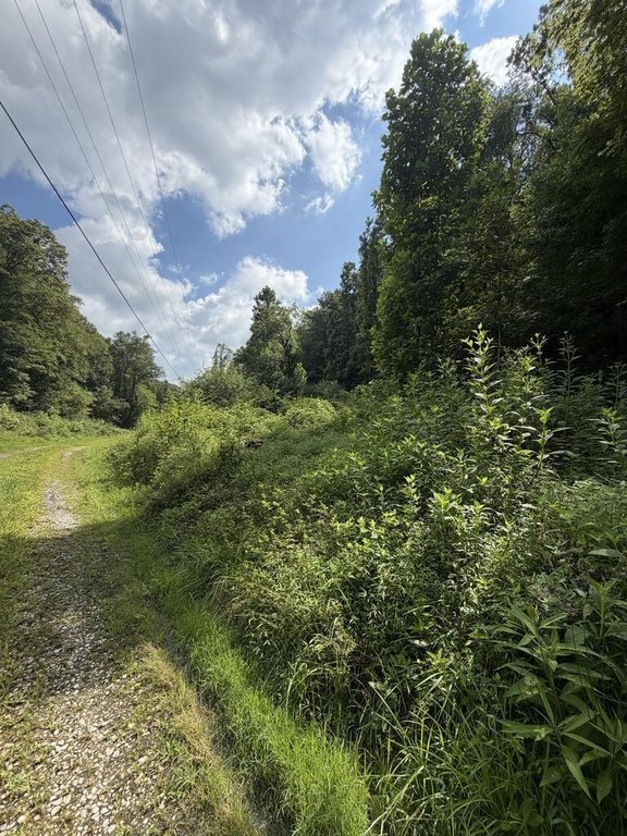 Picture 5