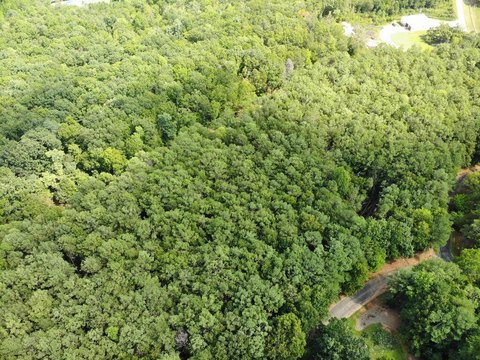 Vacant Lot, Clarkesville, GA