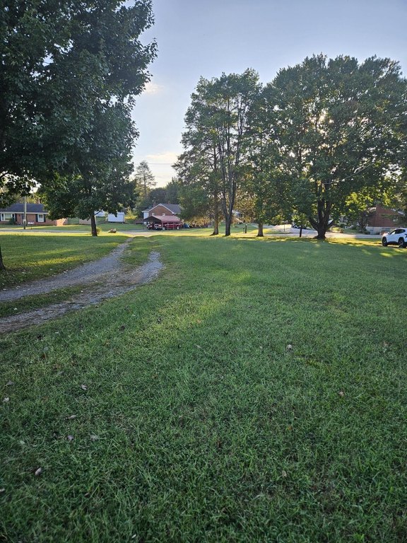 Picture 2