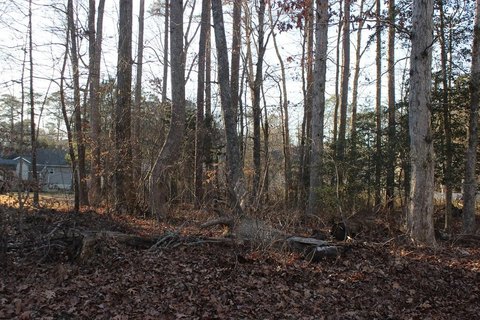 Residential Lot in Greenbackville, VA
