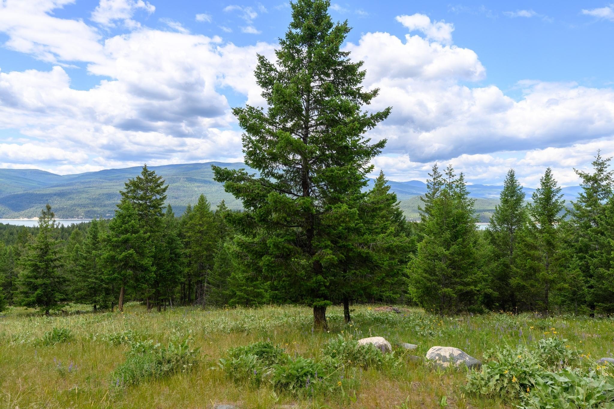Rexford Land with Lake Views
