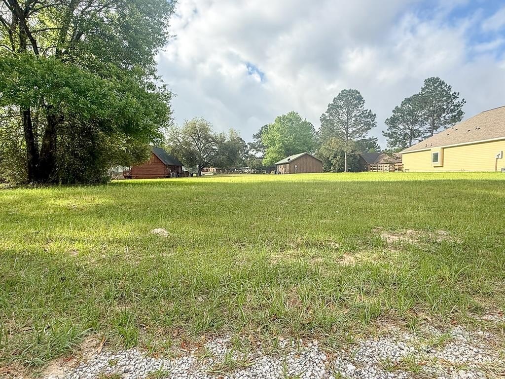 Huntsville Land Near Lake Conroe