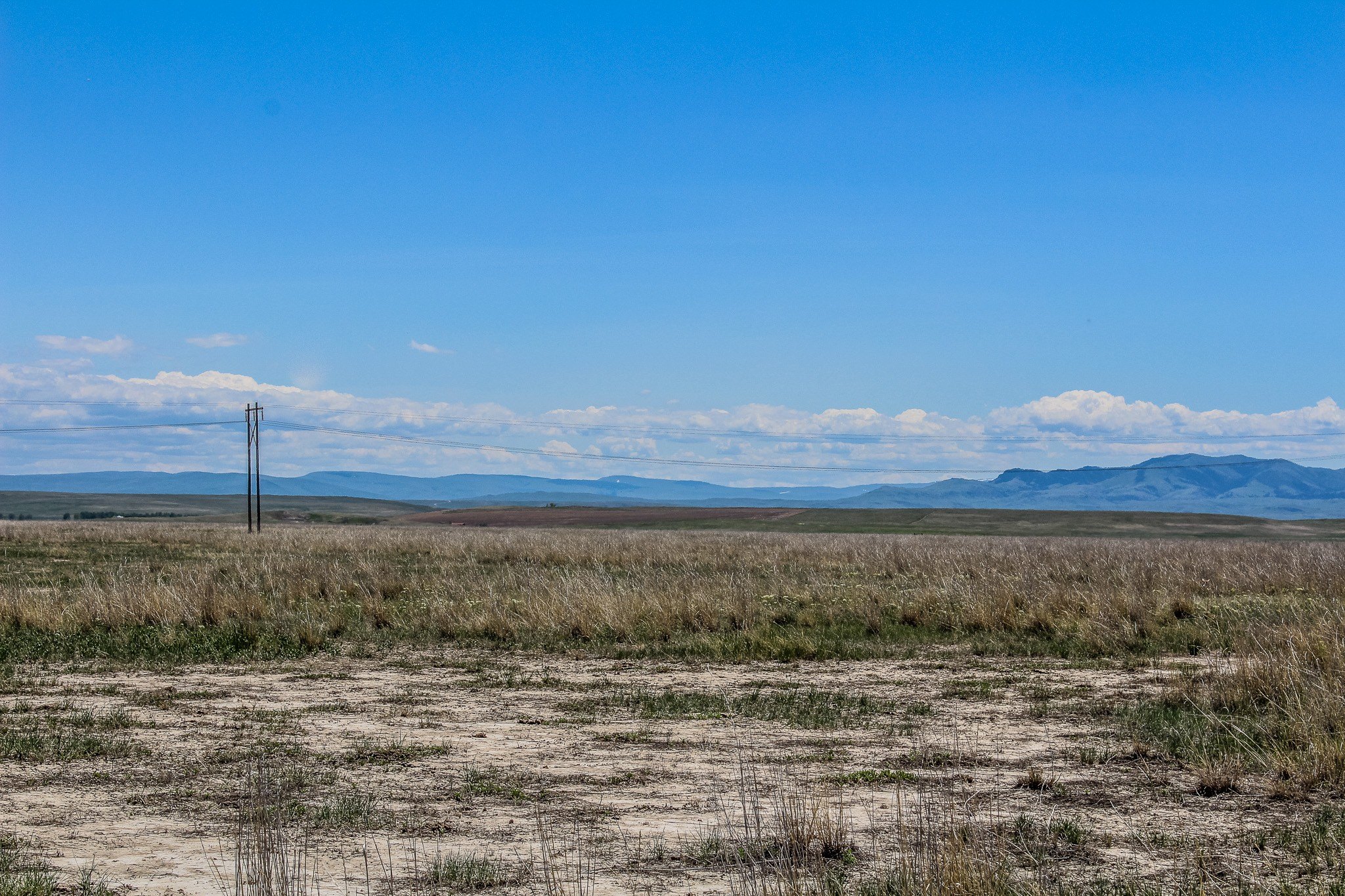 40 Acres with Creek Frontage