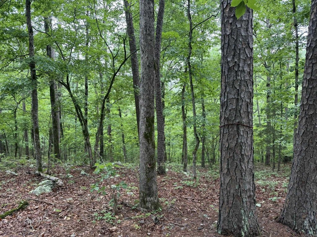 Picture 9