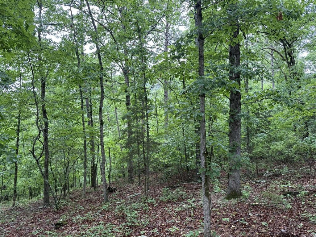 Picture 12