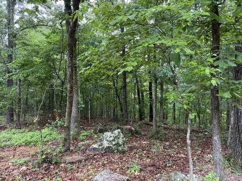 Vacant Land, Norfork, AR