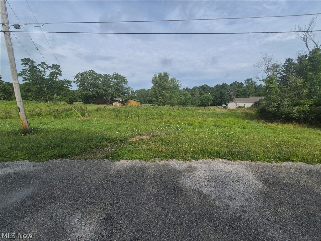Picture 6