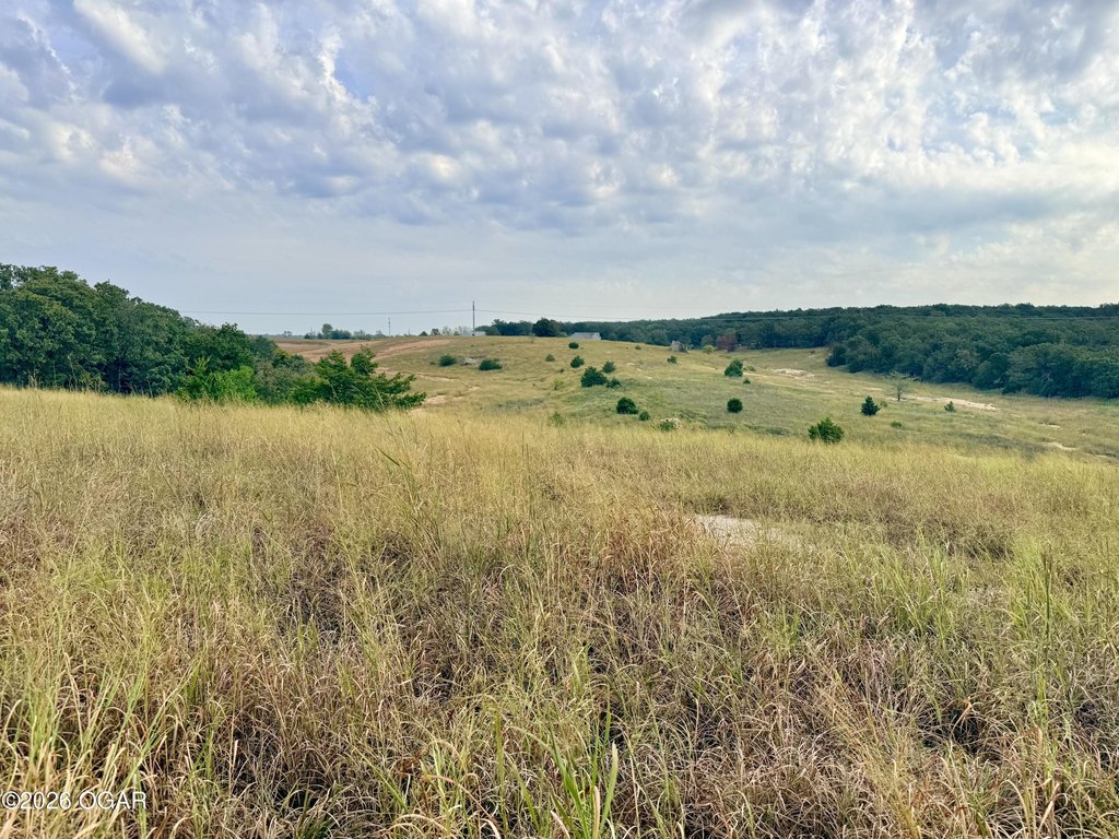 Picture 19