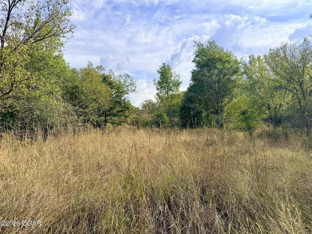 Picture 44