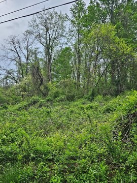 Residential Land in Marion, VA