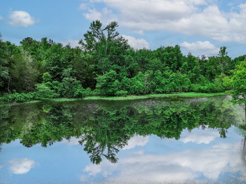 Hunting and Cattle Land with Ponds