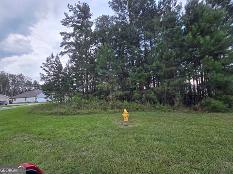 Land, Kingsland, GA