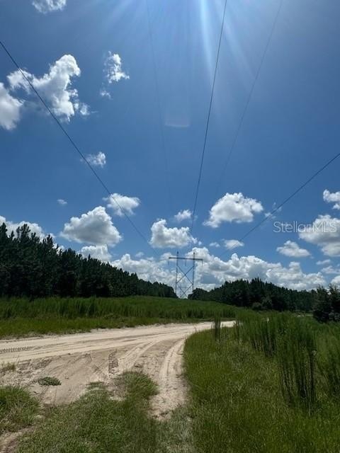 Picture 25