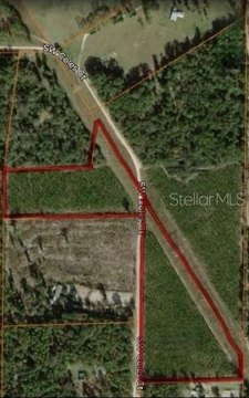 Mature Pine Timberland Parcel