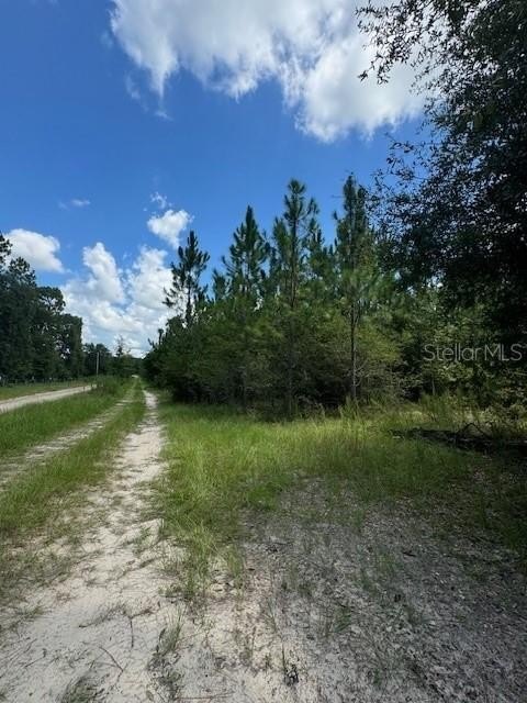 Picture 5