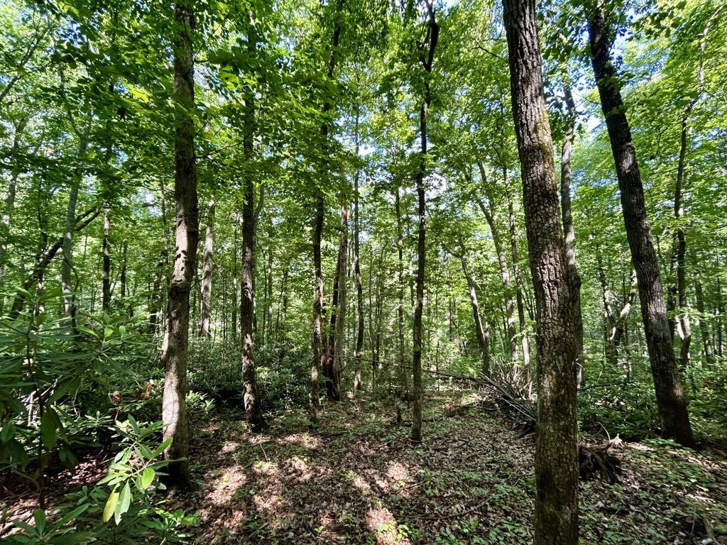 Picture 10