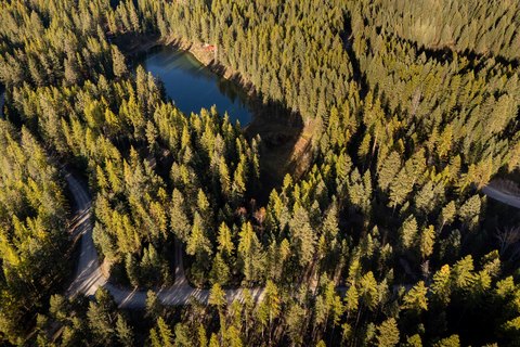 Land, Kalispell, MT