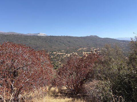 Land, Badger, CA