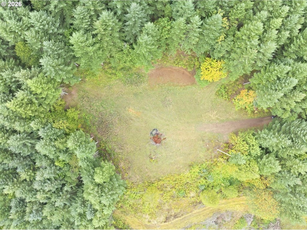 Picture 12