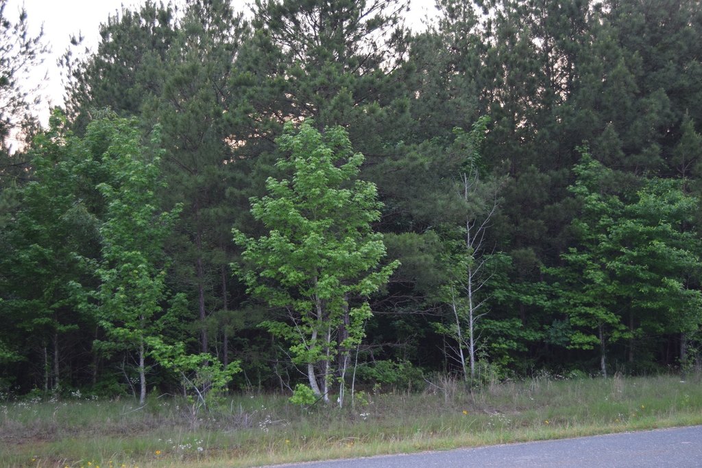 Picture 2