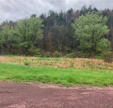 Wooded Homesite Land