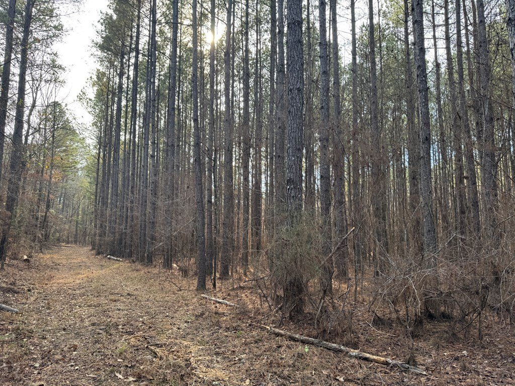 Picture 21