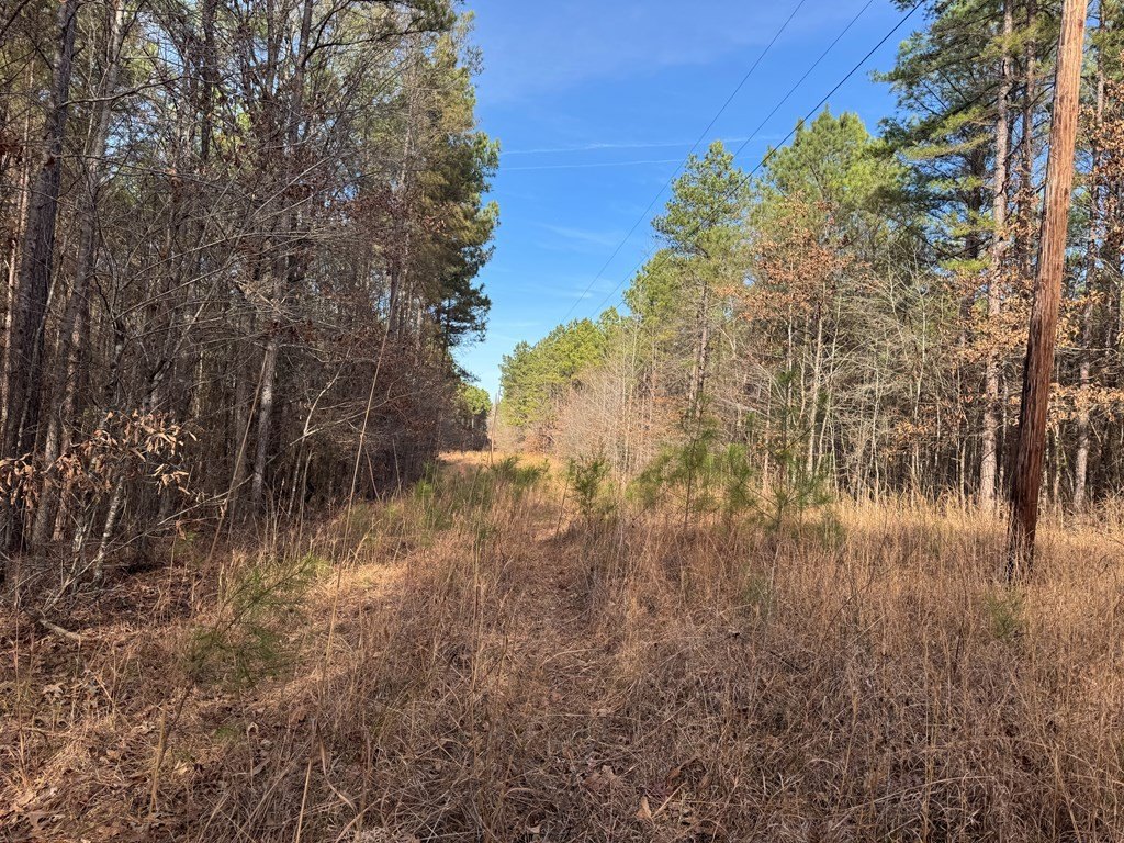 Picture 6