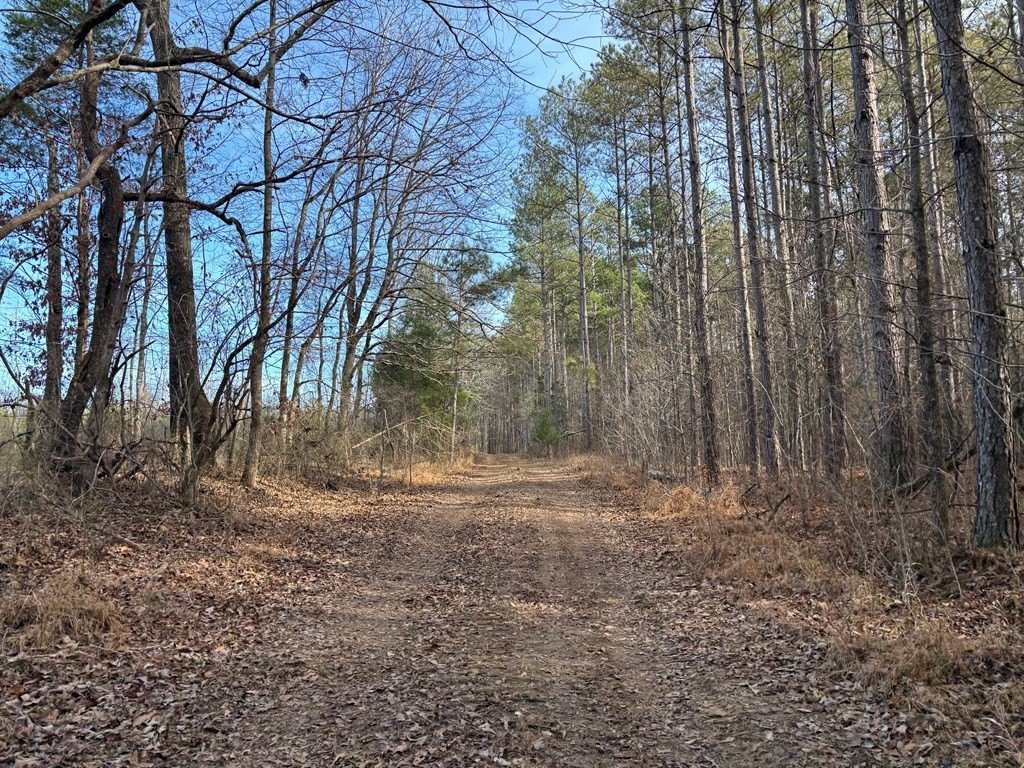 Picture 19