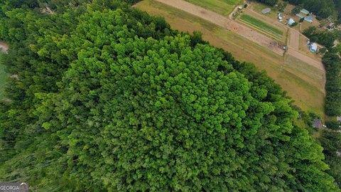 Land, Brooklet, GA