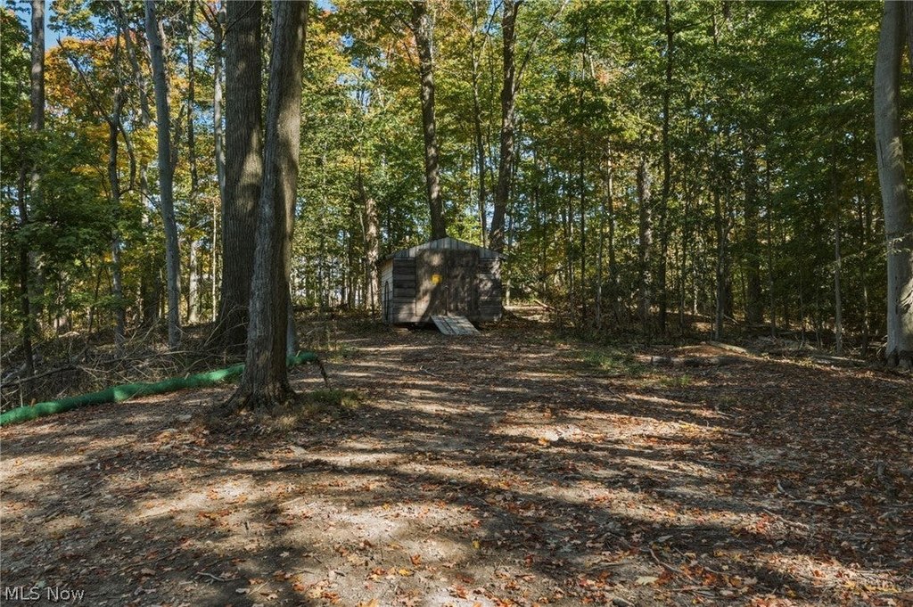 Picture 8