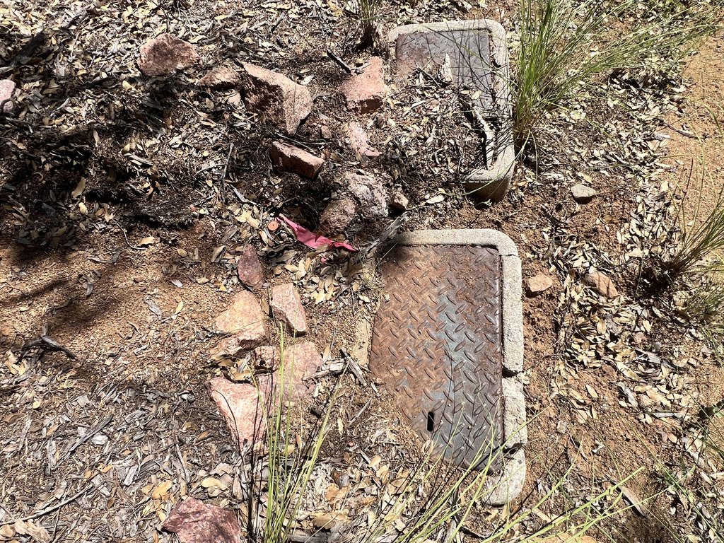 Picture 21