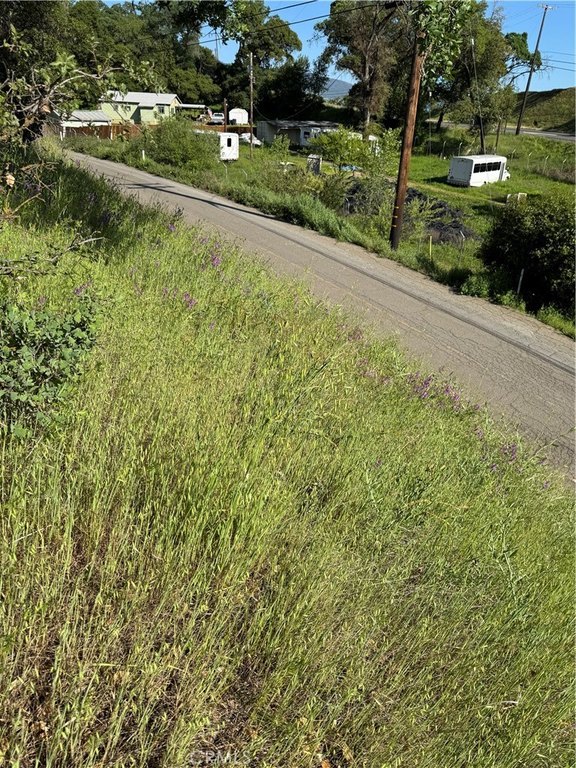 Picture 9