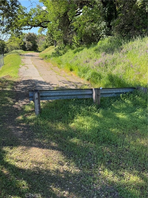 Picture 10