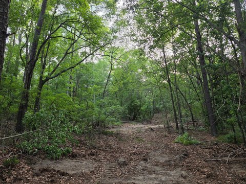 North Augusta 11-Acre Land Parcel