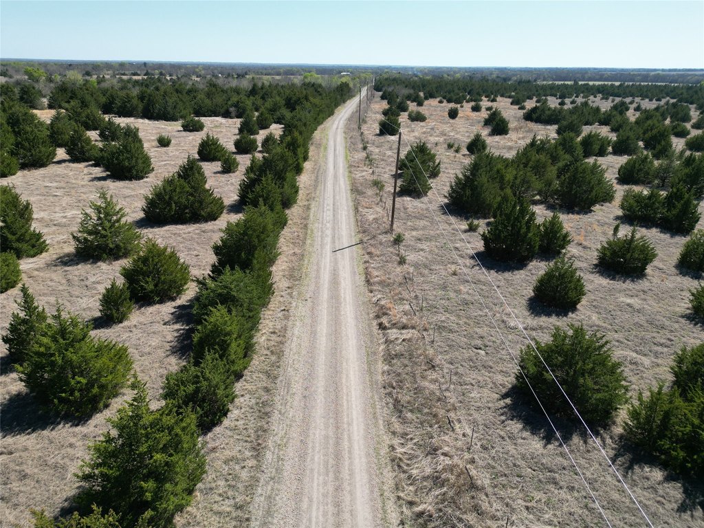 Picture 23