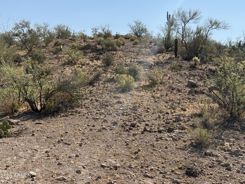 LAND - Morristown, AZ