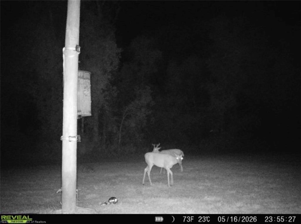 Picture 24