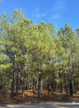 LAND - Broken Bow, OK