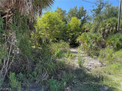 Land, Bokeelia, FL