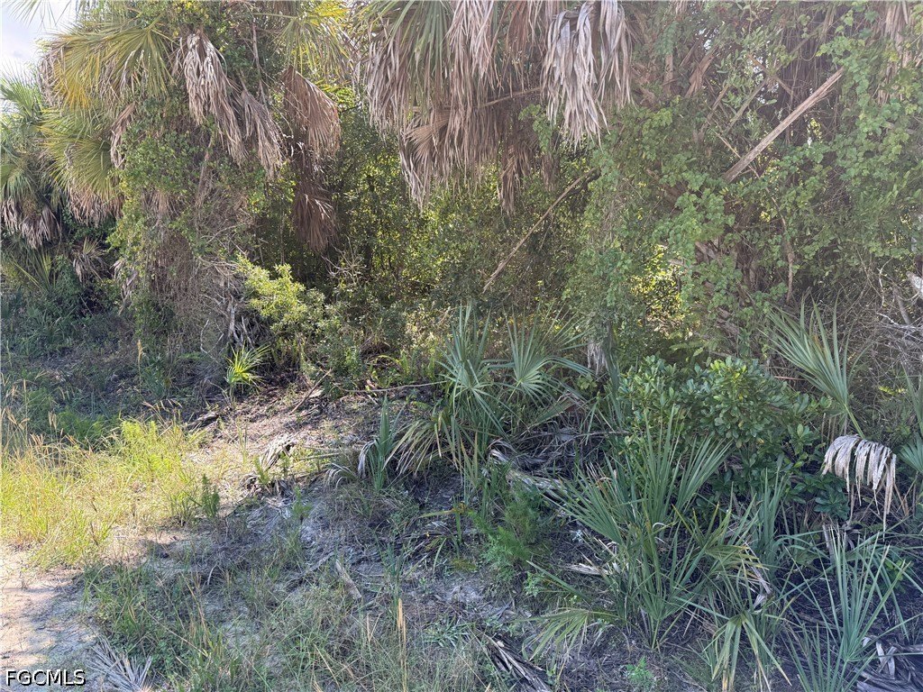 Picture 2
