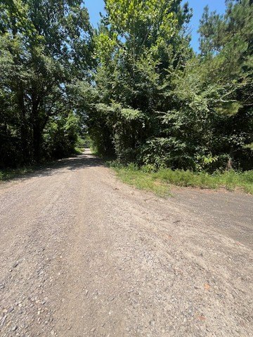 Picture 8