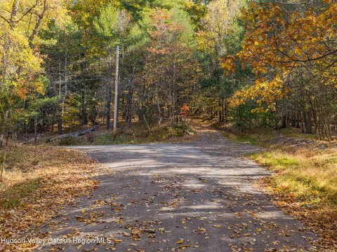 Land, Mount Tremper, NY