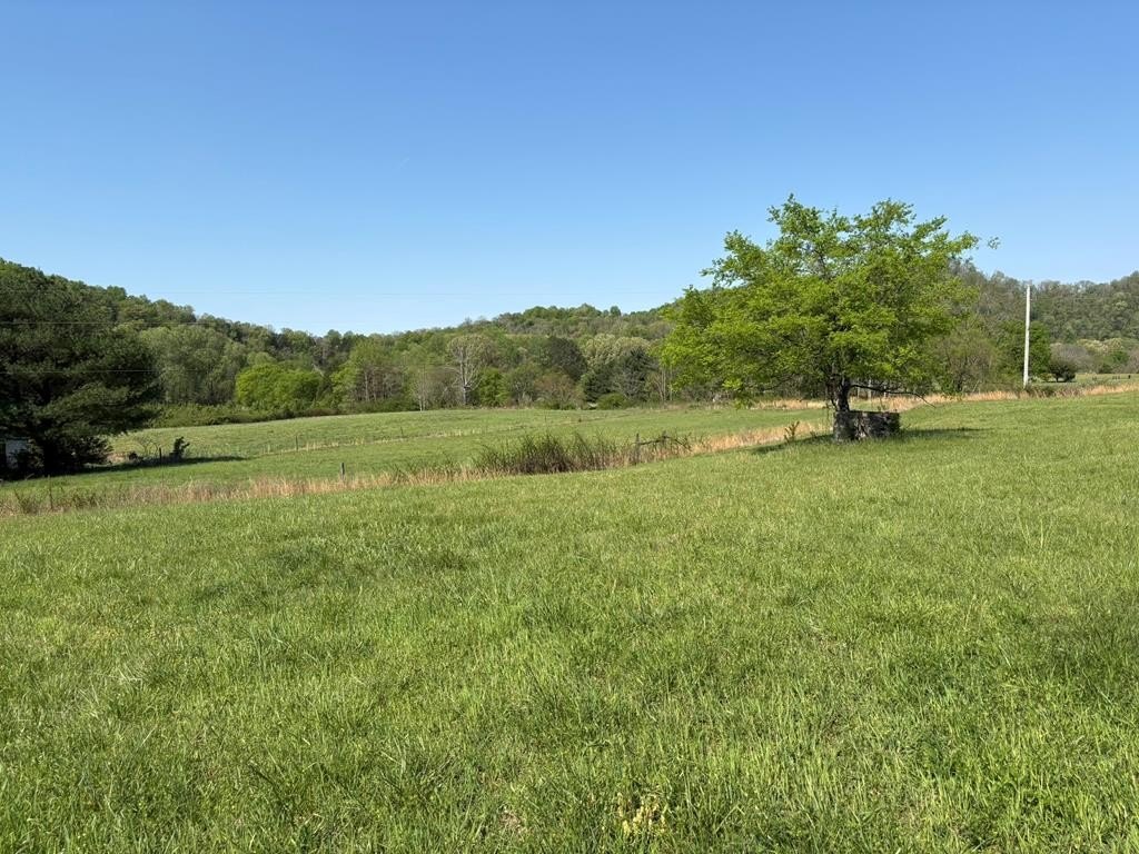 Gainesboro, TN Open Land