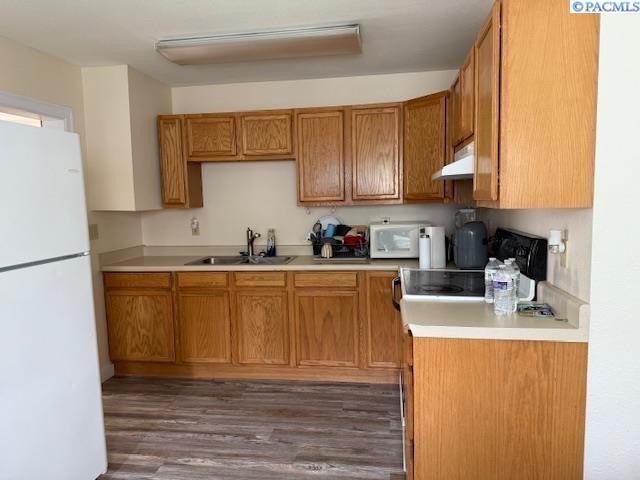 Picture 5