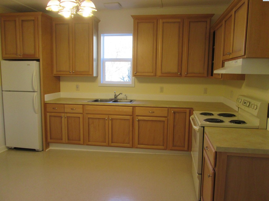 Picture 15