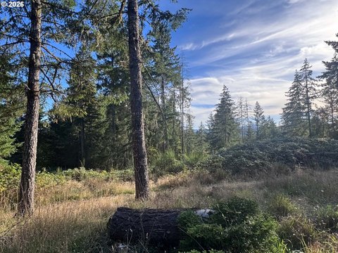 Land, JunctionCity, OR