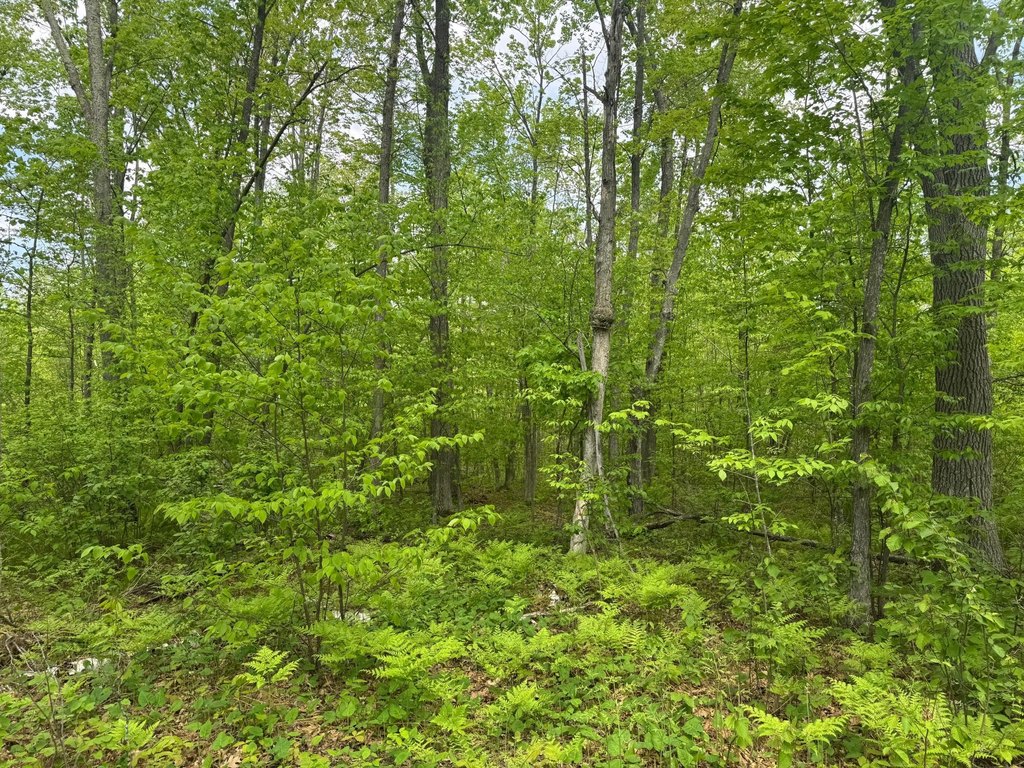 Picture 22